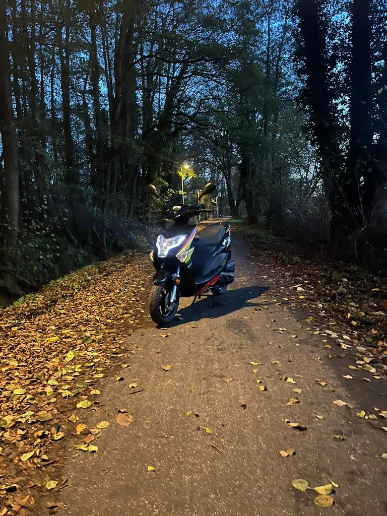 Neco sport, Vélos & Vélomoteurs, Enlèvement