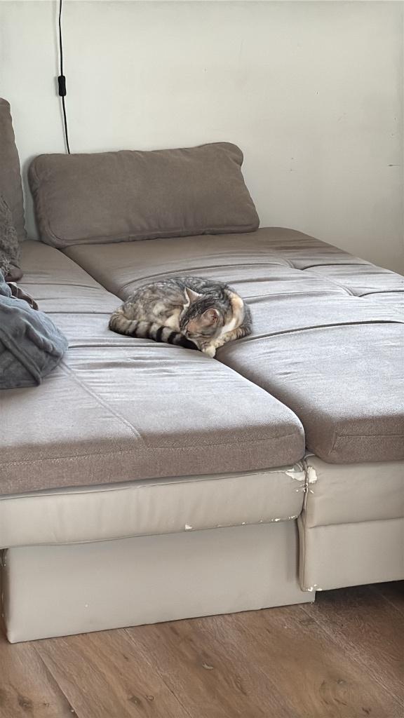 Slaapzetel, Ophalen, Bruin