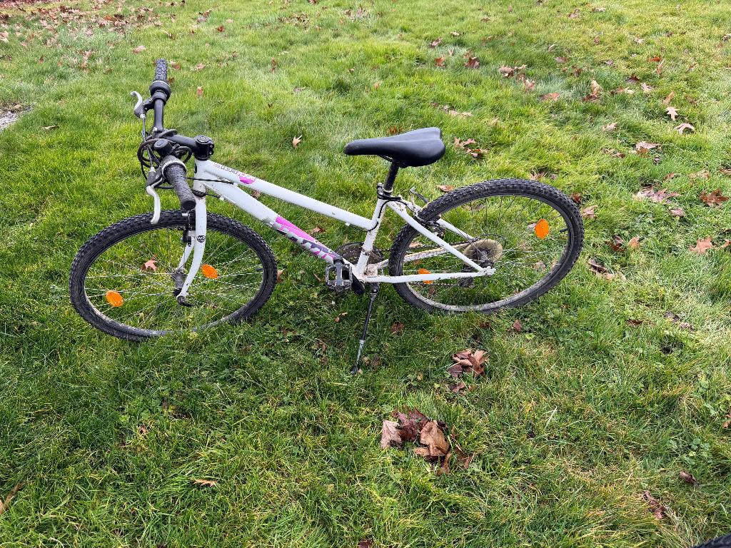 Vélo enfant, Vitesses, Enlèvement ou Envoi, Comme neuf, BTwin Décathlon