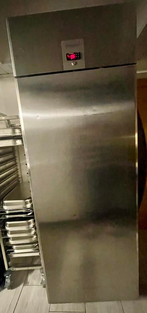 Congélateur no frost Electolux pro, Electroménager, Congélateurs, Congélateur, 160 cm ou plus, Enlèvement, Utilisé