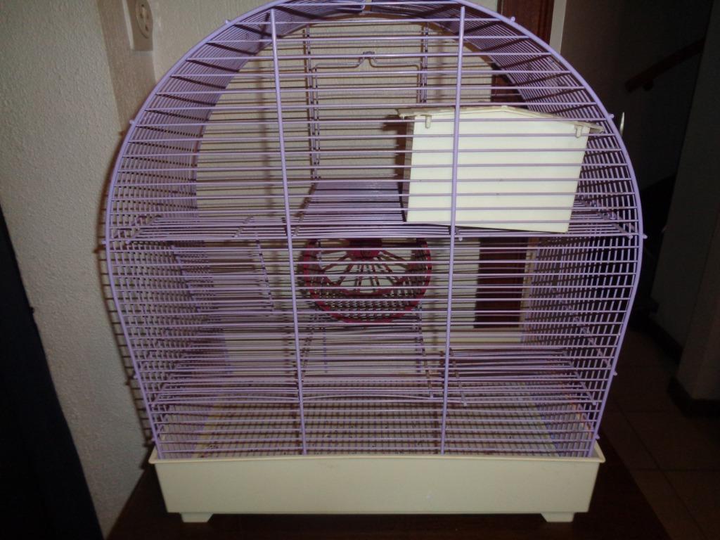 Cage pour hamster robuste 49 x 43 x 25 cm, Animaux & Accessoires, Souris, Moins de 60 cm, Cage, Comme neuf