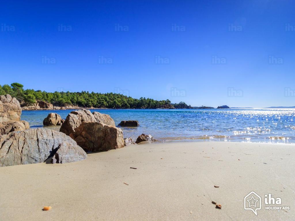 APPT 3 PIECES CLIMATISE AVEC JARDIN PRIVATIF & PISCINE, Propriétaire, Ville, Provence et Côte d'Azur, 4 personnes