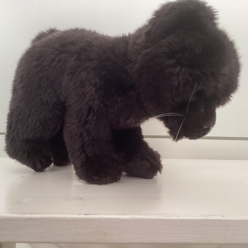 Zwarte panter pup (KN1/2), Kinderen en Baby's, Speelgoed | Knuffels en Pluche, Ophalen of Verzenden, Zo goed als nieuw