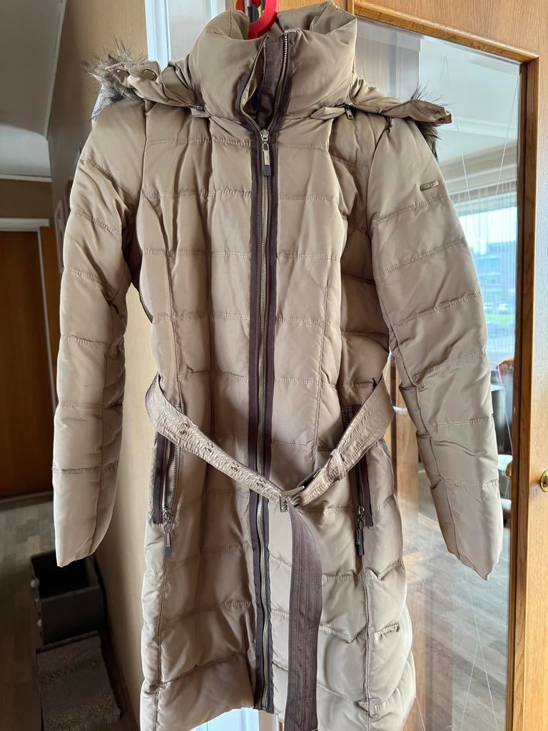 Esprit nieuw, Kleding | Dames, Maat 38/40 (M), Beige, Nieuw, Ophalen of Verzenden