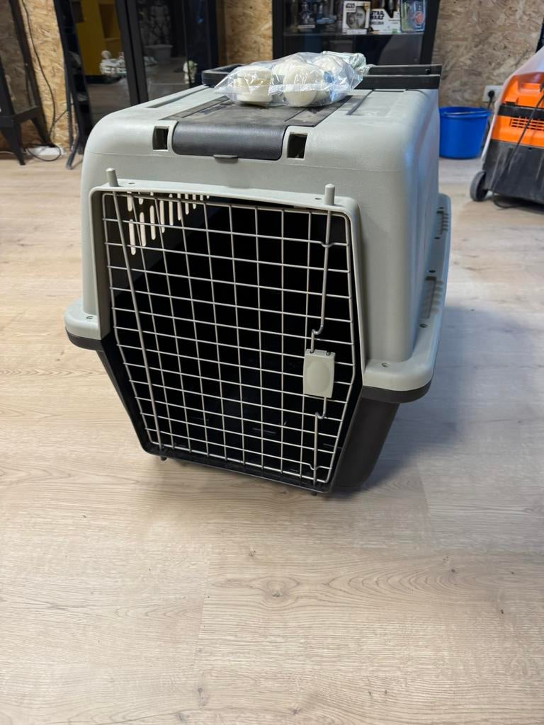 Coffre de transport/caisse pour chien, Enlèvement, Neuf