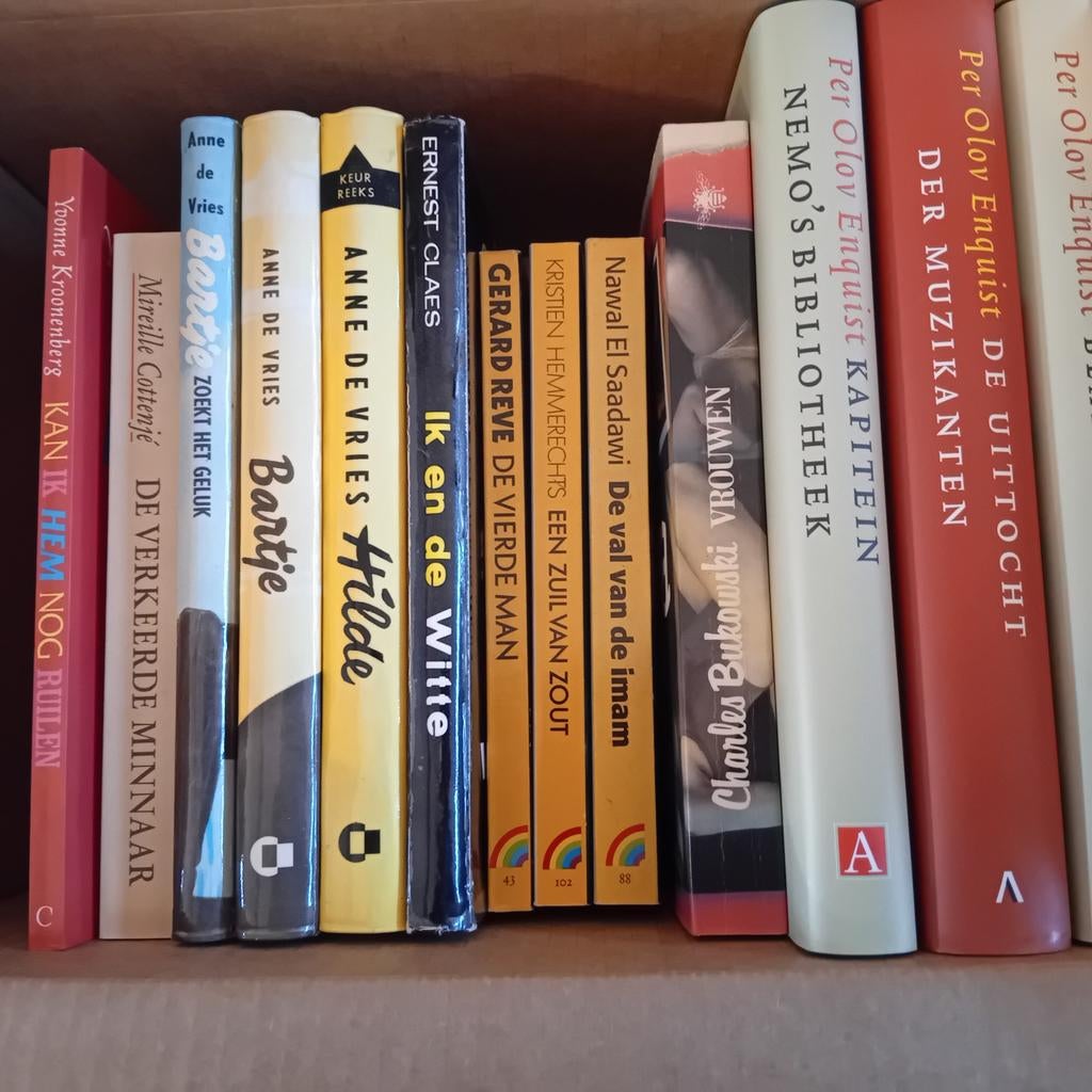 Lot 2 : Livres néerlandais, Enlèvement ou Envoi, Comme neuf