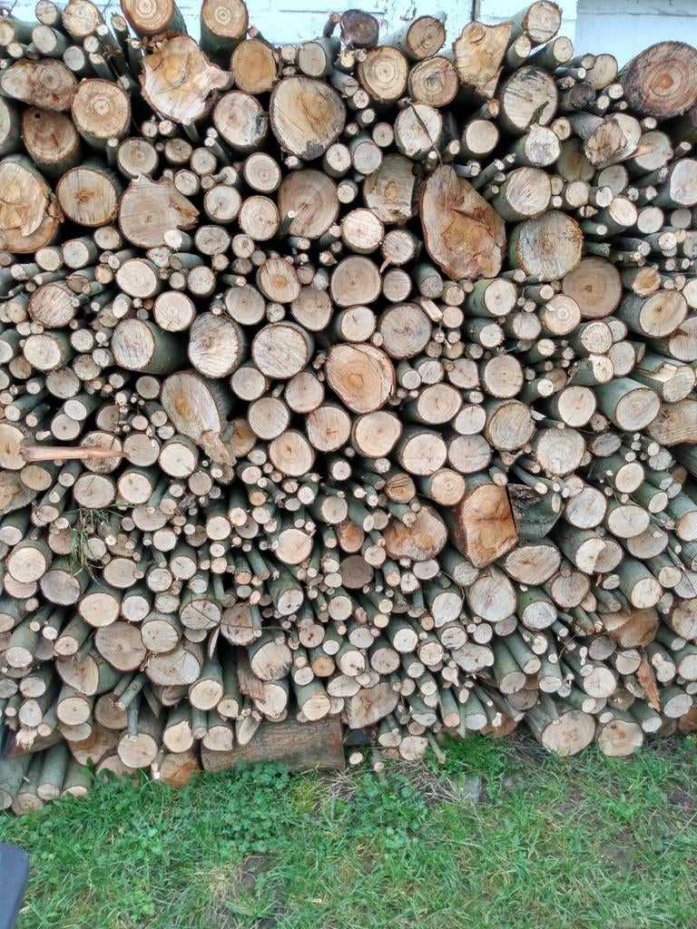 wilgenhout 02/ 2025, Tuin en Terras, Brandhout, Ophalen