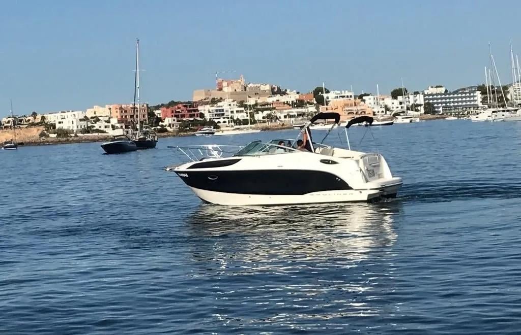 Bayliner 255 CU, 50 ch ou plus, Enlèvement, Utilisé, 6 à 9 mètres