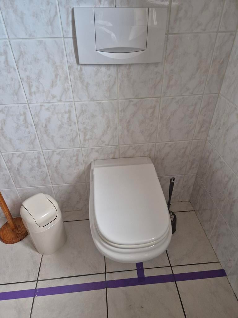 Toilet, Doe-het-zelf en Bouw, Sanitair, Ophalen, Toilet