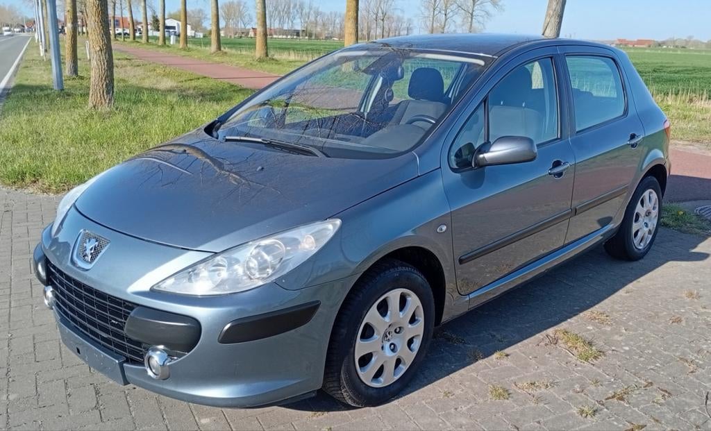 Peugeot 307 1.6 Hdi 2006 airco, Autos, Achat, Diesel, Euro 4, Particulier
