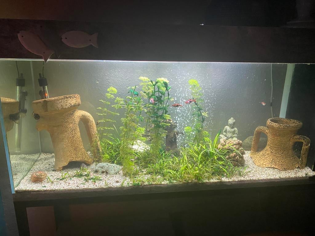 Aquarium de 120 litres avec accessoires complet, Enlèvement, Comme neuf