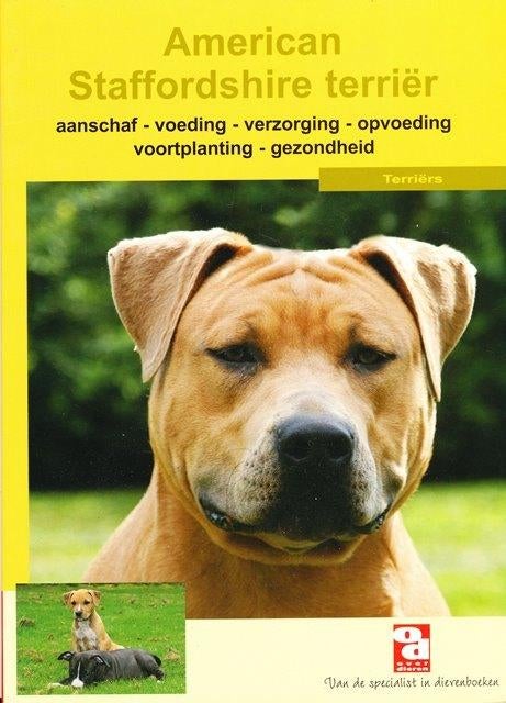 (d29) American Staffordshire Terrier, Livres, Animaux & Animaux domestiques, Utilisé, Envoi