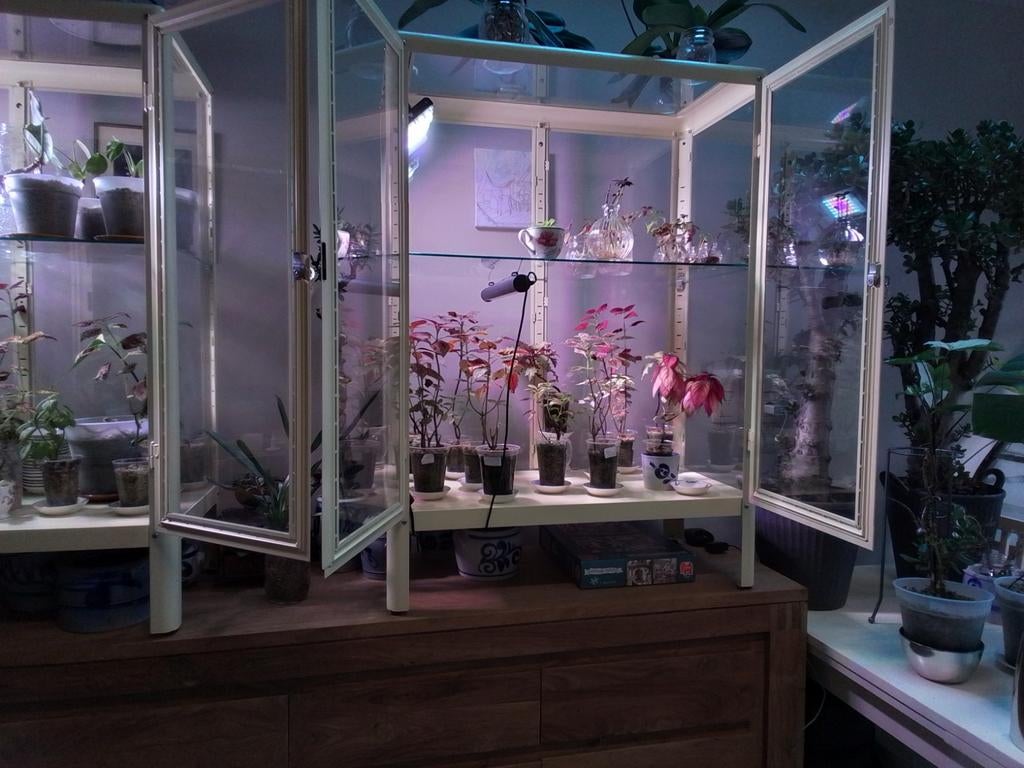 Conservatory - Vitrine Ikea couleur crème, Enlèvement