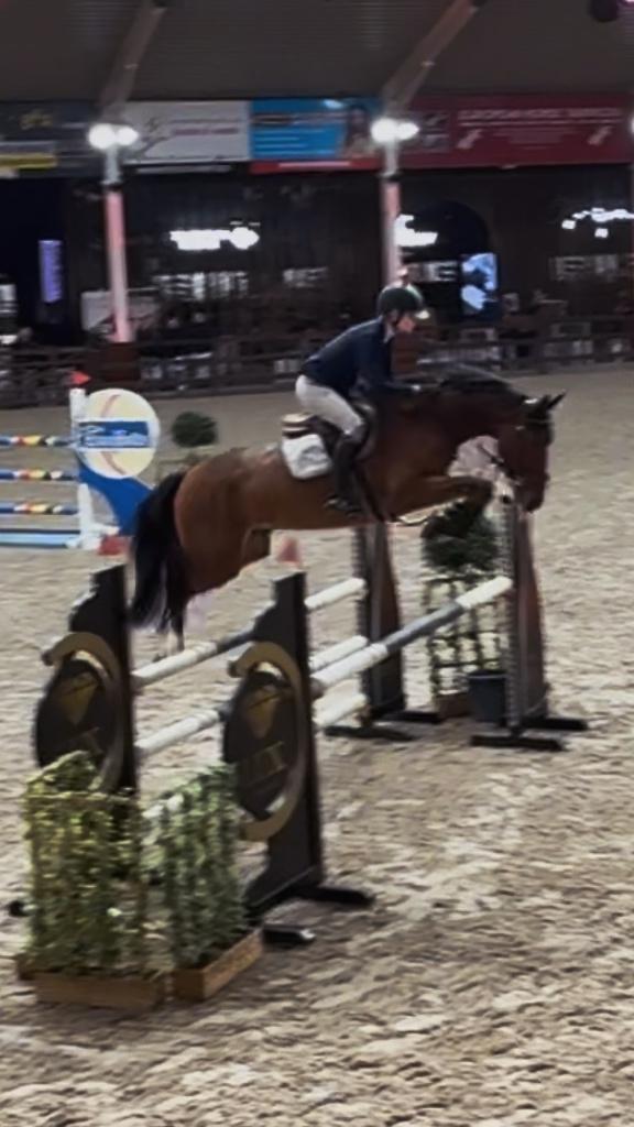 Zadelmak maken, Dieren en Toebehoren, Paarden, Zadelmak