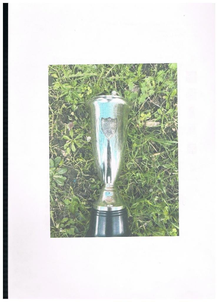 BROUWERIJ MARTENS ZULTE TROFEE BEKER, Verzenden, Zo goed als nieuw, Overige typen