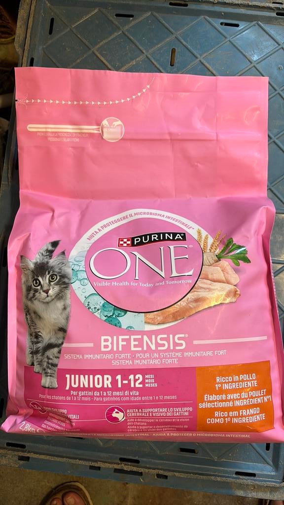 Purina one junior, Enlèvement, Chat
