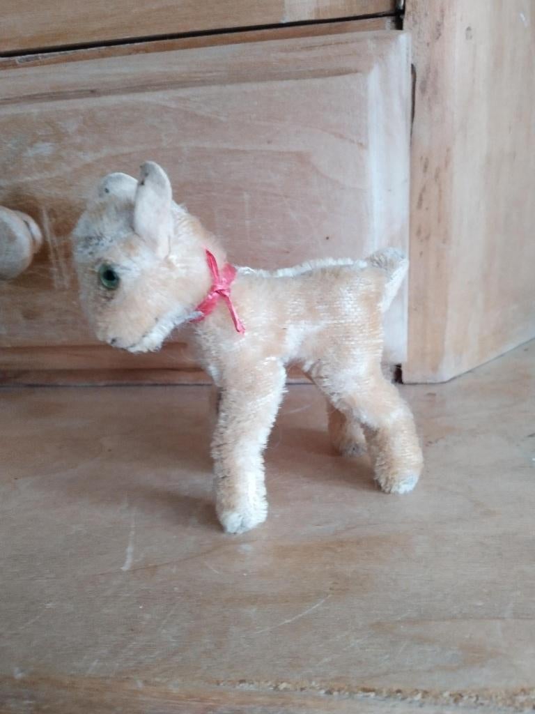 Agneau STEIFF, Enlèvement ou Envoi