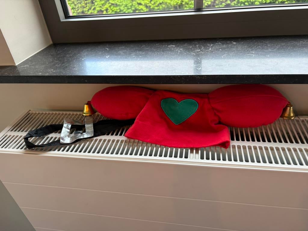 accessoires verkleden, Kinderen en Baby's, Ophalen of Verzenden