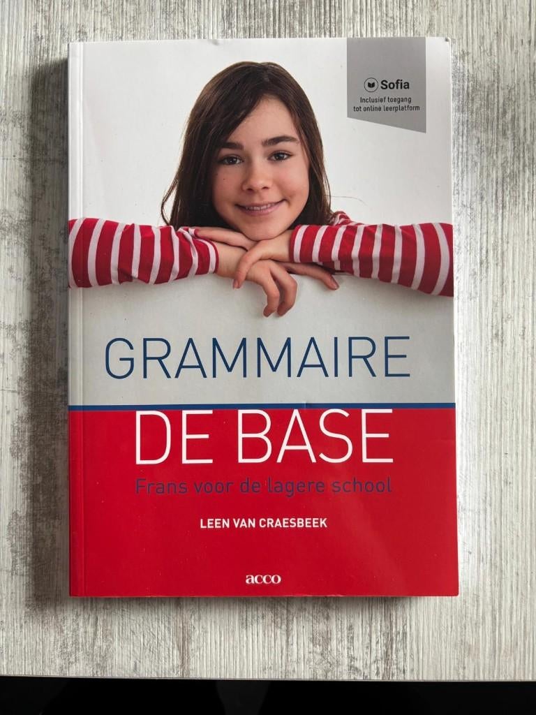 Grammaire de base, Livres, Enlèvement ou Envoi, Comme neuf, Enseignement supérieur, Leen Van Craesbeek