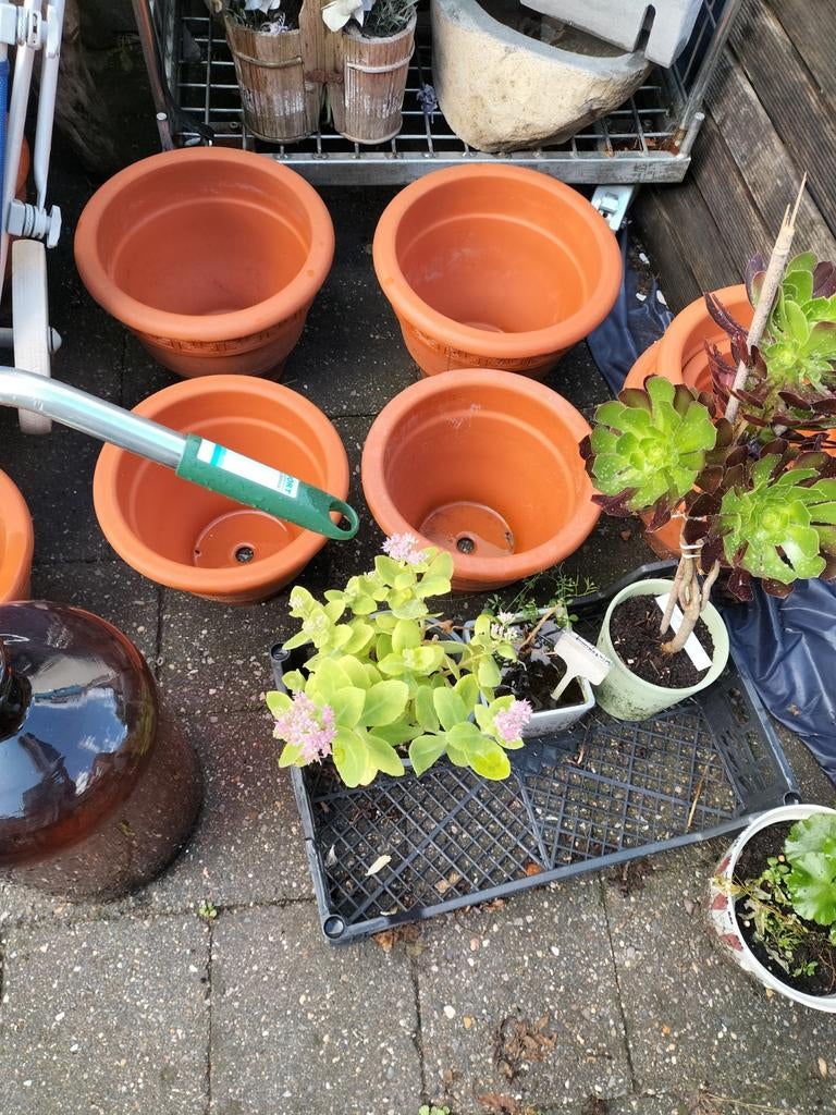 Terracotta bloempotten plantenbakken nieuw, Ophalen, Terracotta