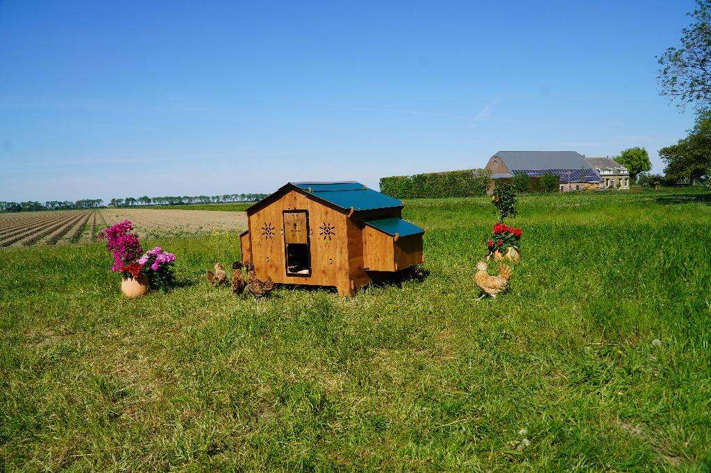 Trespa Kippenhok Cucciolotta | Chalet 4XL, Enlèvement ou Envoi, Neuf, Poulailler