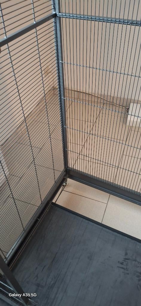 Cage perroquet, Enlèvement, Utilisé, Métal, Cage à oiseaux