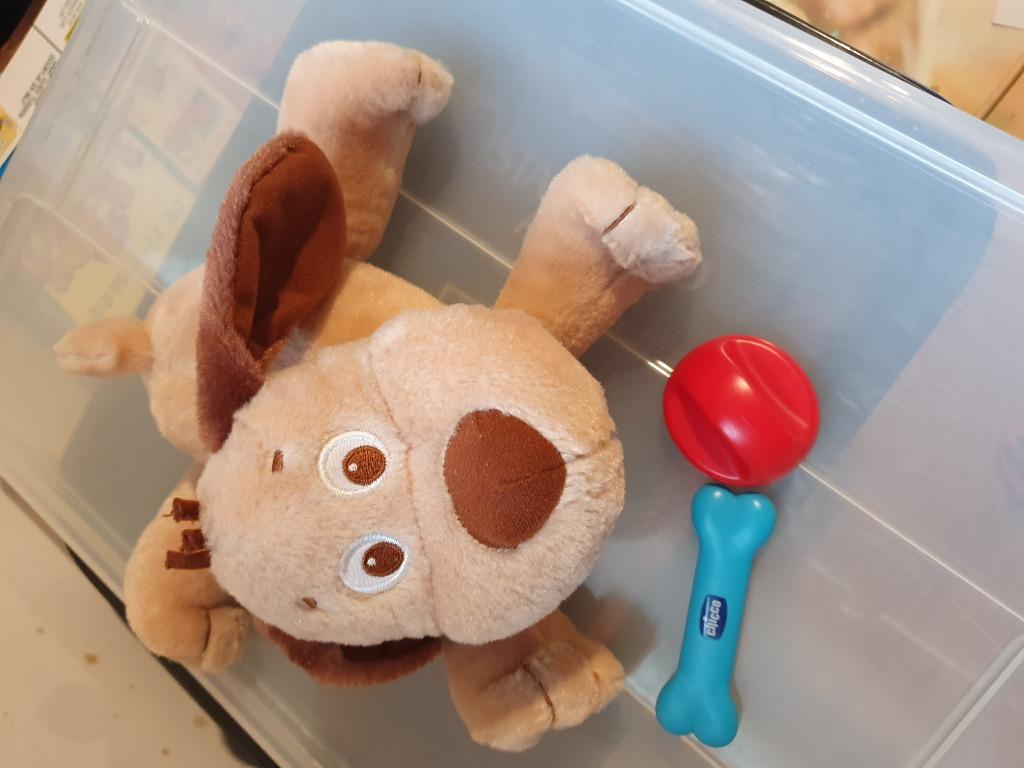 Interactieve hondenknuffel Chicco, Ophalen, Gebruikt, Hond