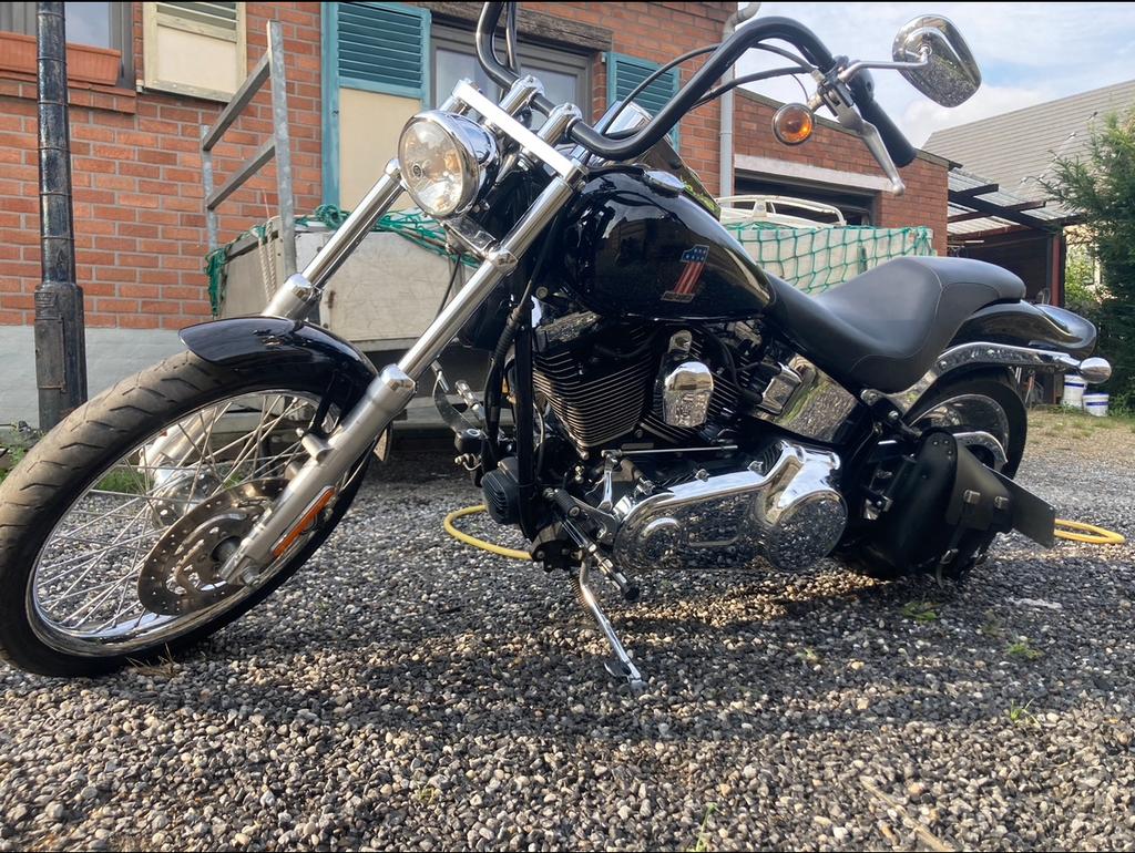 Harley Davidson Softail Custom 105th Anniversary, 1600 cm³, Permis Moto A, Plus de 35 kW, 2 cylindres