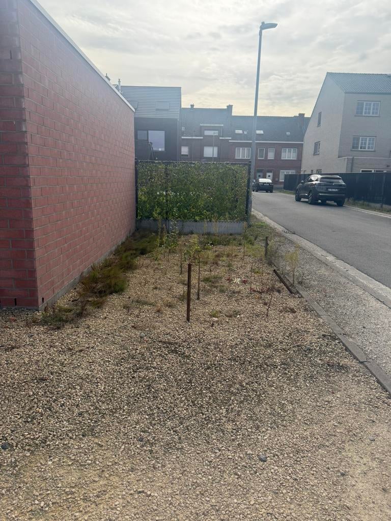 Staanplaatsen te huur Lebbeke 9280