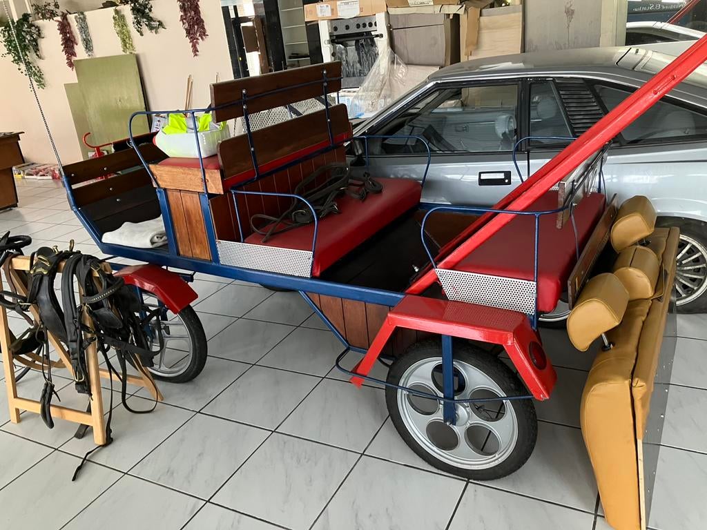 PONEY ou CHEVAL: CHARIOT pour TRANSPORT de PERSONNES, Animaux & Accessoires, Voitures & Carrosses, Utilisé, Wagonette, Cheval ou Poney