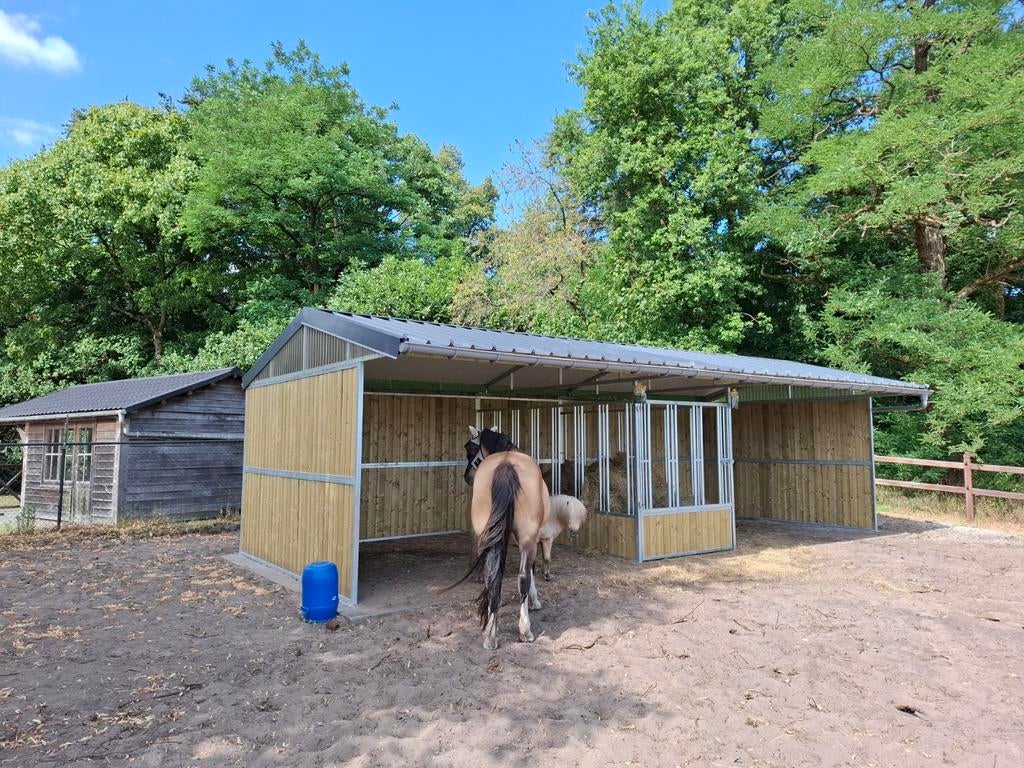 Stallen buitenstallen  weide stal voederwand schuilstal boxe