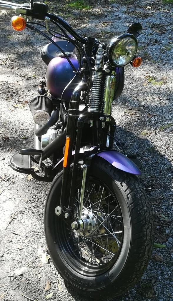 Harley Davidson Softail Cross Bones 2010