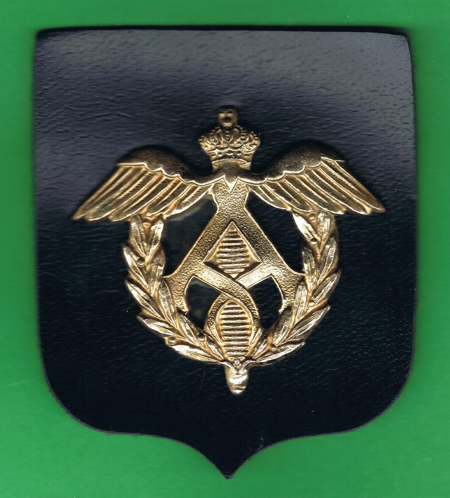 Belgian Army Mutskenteken ( LMM6 ), Enlèvement ou Envoi, Armée de terre, Emblème ou Badge