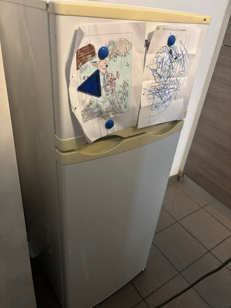 Frigo congelateur, Electroménager, Enlèvement, Comme neuf