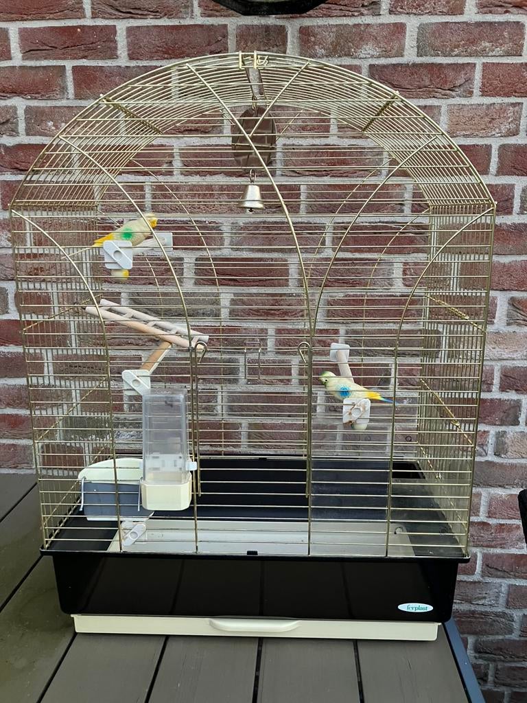 GROTE VOGELKOOI GOUDKLEUR IMAC OP STAANDER NU 70 EURO, Ophalen, Zo goed als nieuw, Overige materialen, Vogelkooi