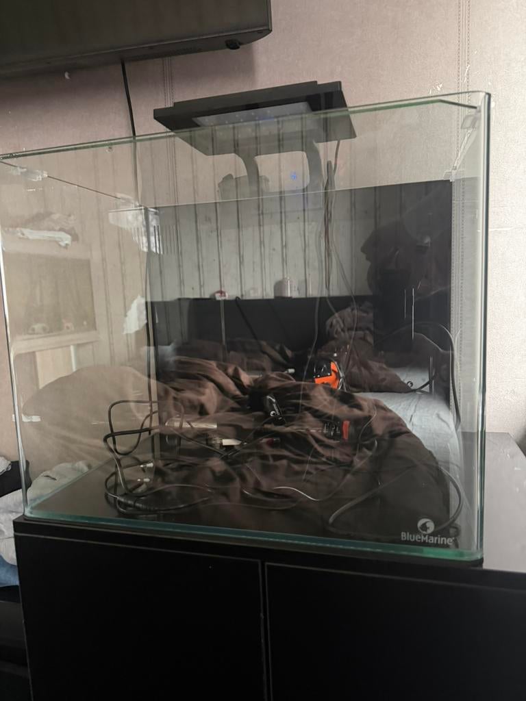 Zoutwater aquarium 90l  compleet te koop, Ophalen, Zo goed als nieuw