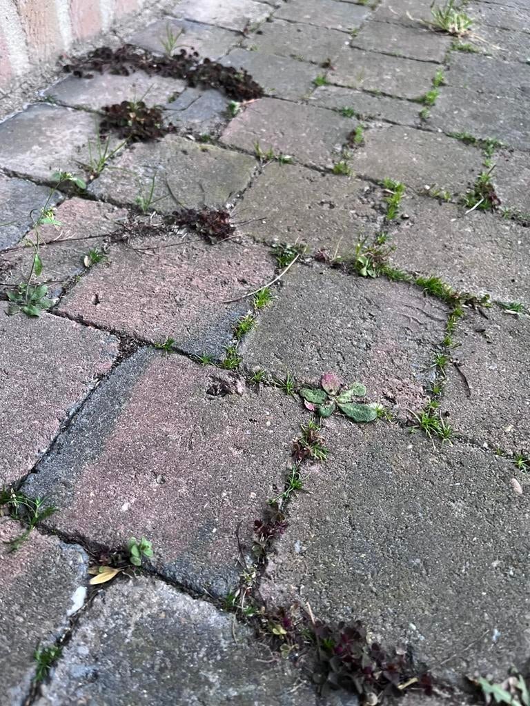 Klinkers - ca 30 vierkante m, Tuin en Terras, Tegels en Klinkers, Ophalen, Gebruikt, 10 m² of meer, Klinkers