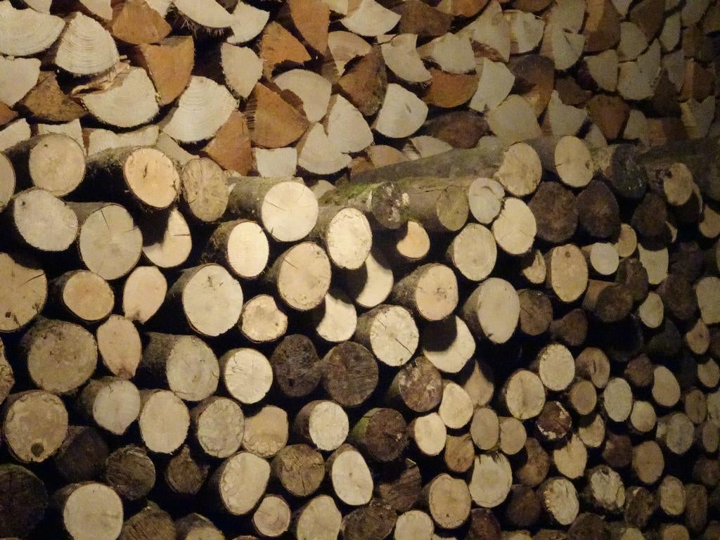 Bois de chauffage, Minder dan 3 m³, Verzenden, Beukenhout, Blokken