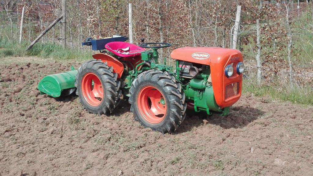 Goldoni Export - Kleine kniktrekker 4 x 4 diesel -, Zakelijke goederen, Ophalen, Tot 80 Pk, Overige merken