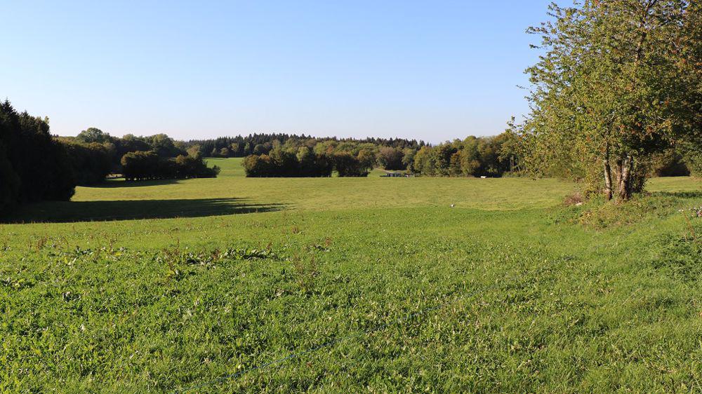 Recherche prairie autour de Wépion Namur Anhée, Animaux & Accessoires, Pâturage