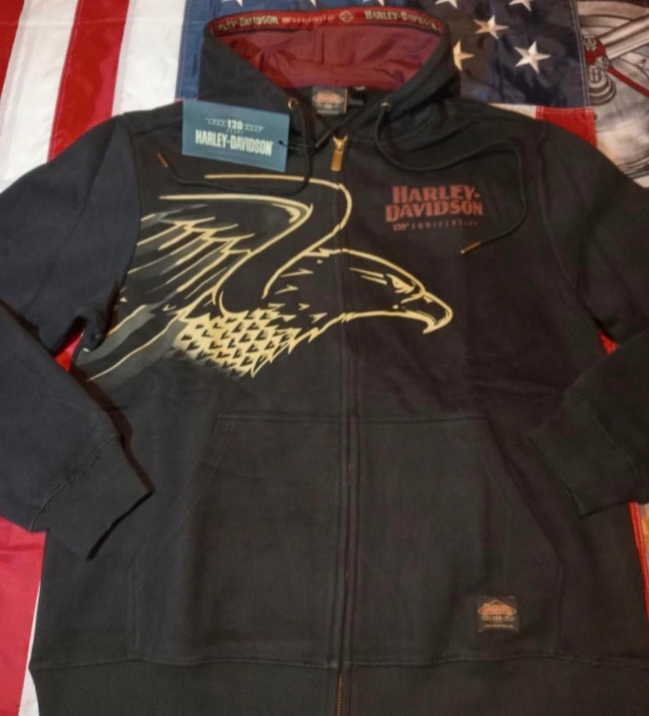 Hoodie Harley-Davidson maat M, Kleding | Heren, Ophalen of Verzenden, Zo goed als nieuw, Maat 48/50 (M)
