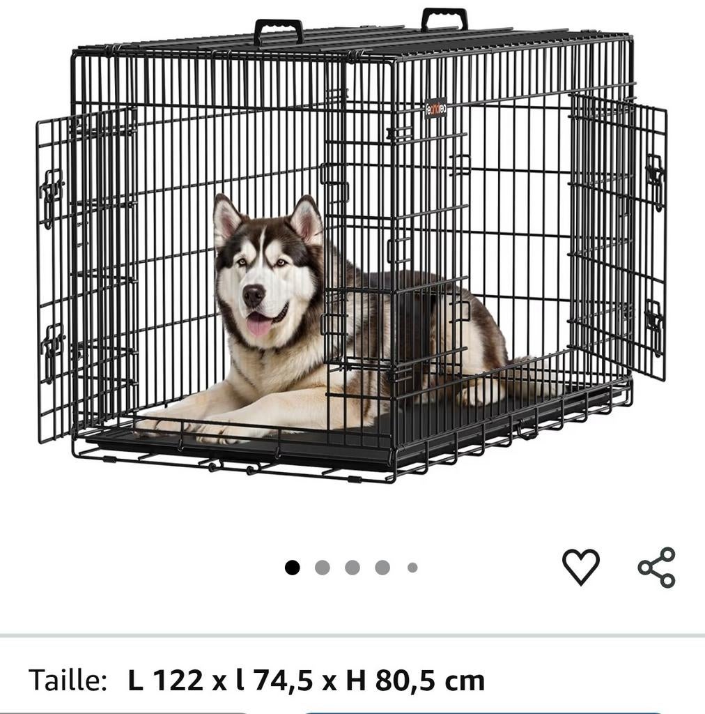 Cage d apprentissage