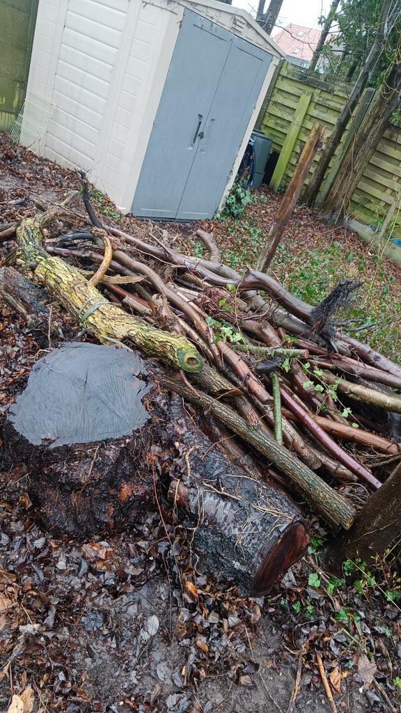 Gratis brandhout, Ophalen