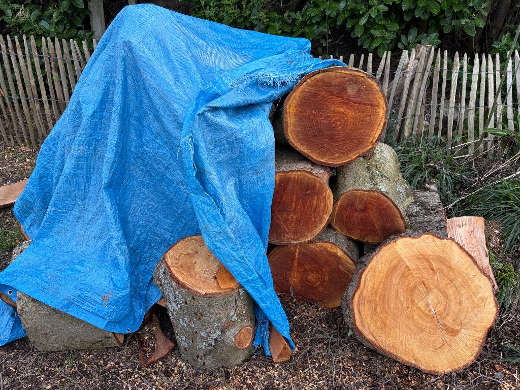 Bois d’aulne, Jardin & Terrasse, Bois de chauffage, 3 à 6 m³, Enlèvement, Aulne, Troncs d'arbres