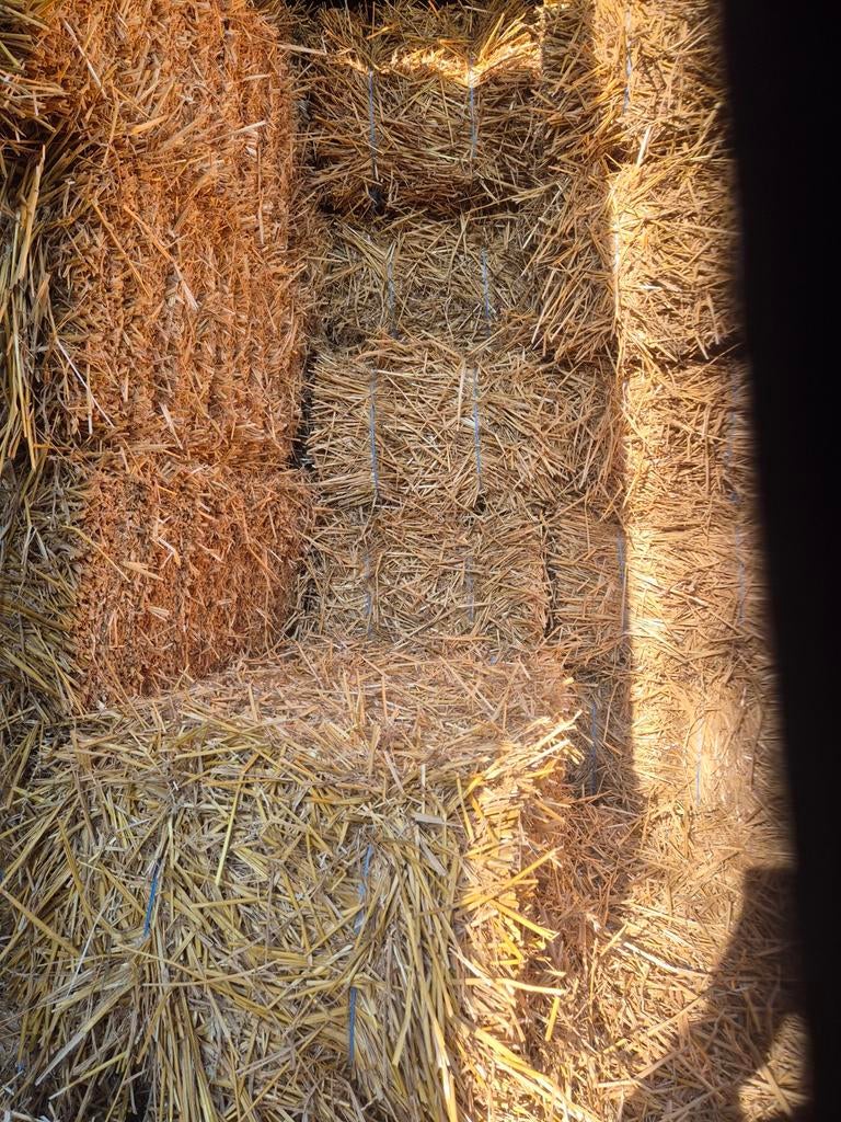 Kleine pakjes stro, Dieren en Toebehoren, Dierenvoeding, Ophalen