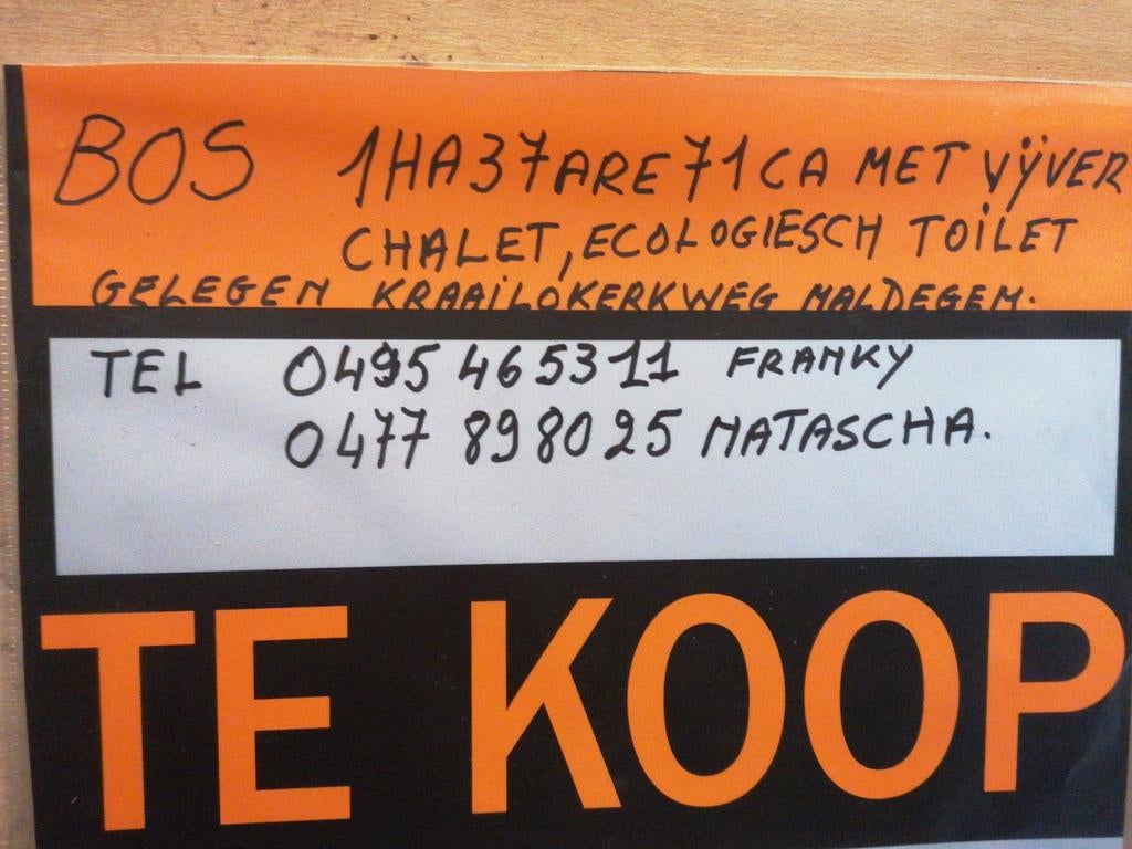 Bos te koop 13771m2, Immo, Gronden en Bouwgronden