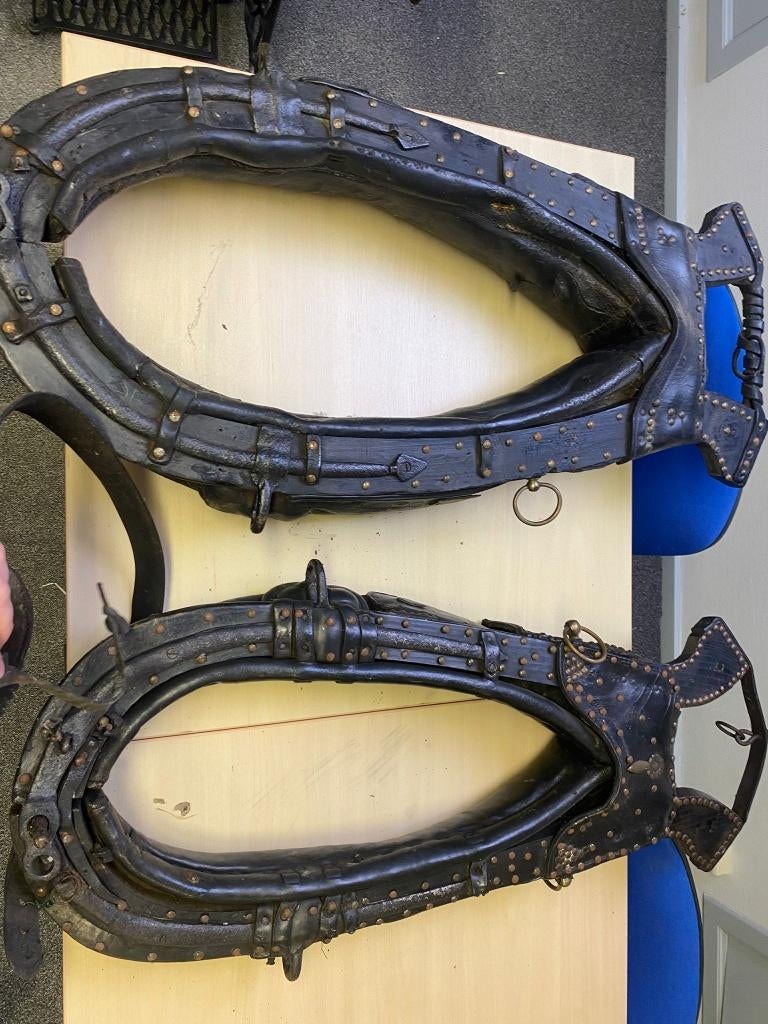 paardenkraag trekpaard (enkel de grote), Enlèvement, Utilisé, Autres espèces