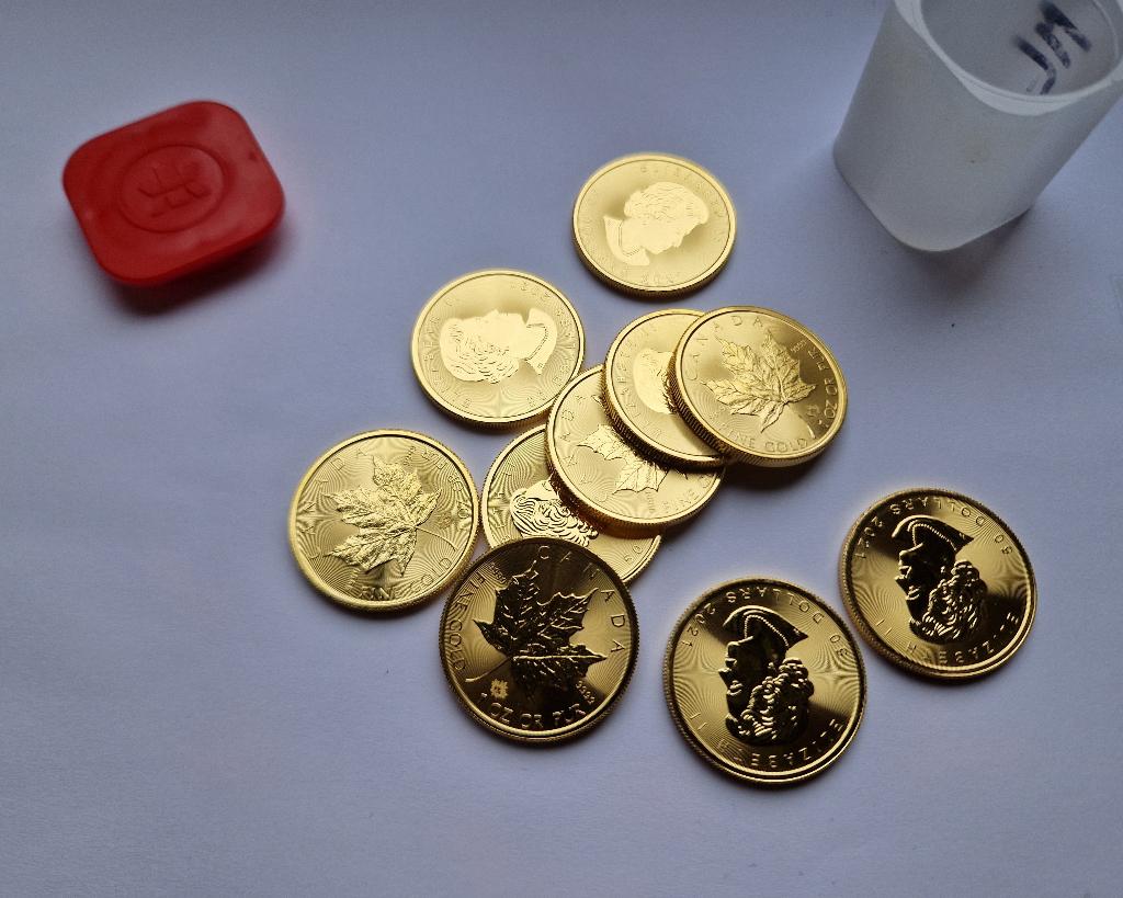 Maple Leaf 🪙🪙🪙 1 once troy en or, Enlèvement, Or