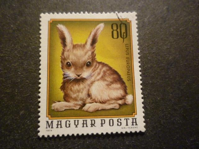 Hongarije/Hongrie 1974 Mi 3009A(o) Gestempeld/Oblitéré, Enlèvement ou Envoi