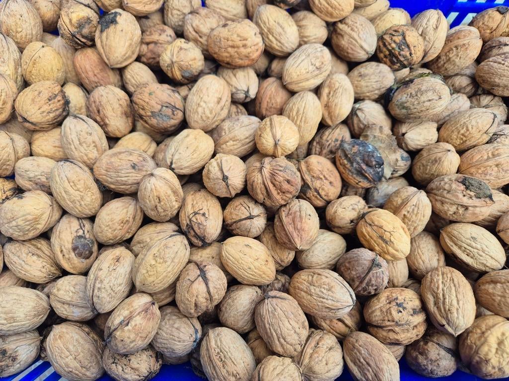 Noix fraîches à vendre, Diversen, Ophalen